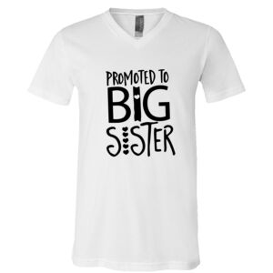 BELLA + CANVAS Unisex Jersey V-Neck Tee Thumbnail